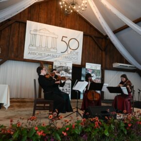 Zdjęcie z koncertu kwartetu z obchodów 50-lecia Arboretum