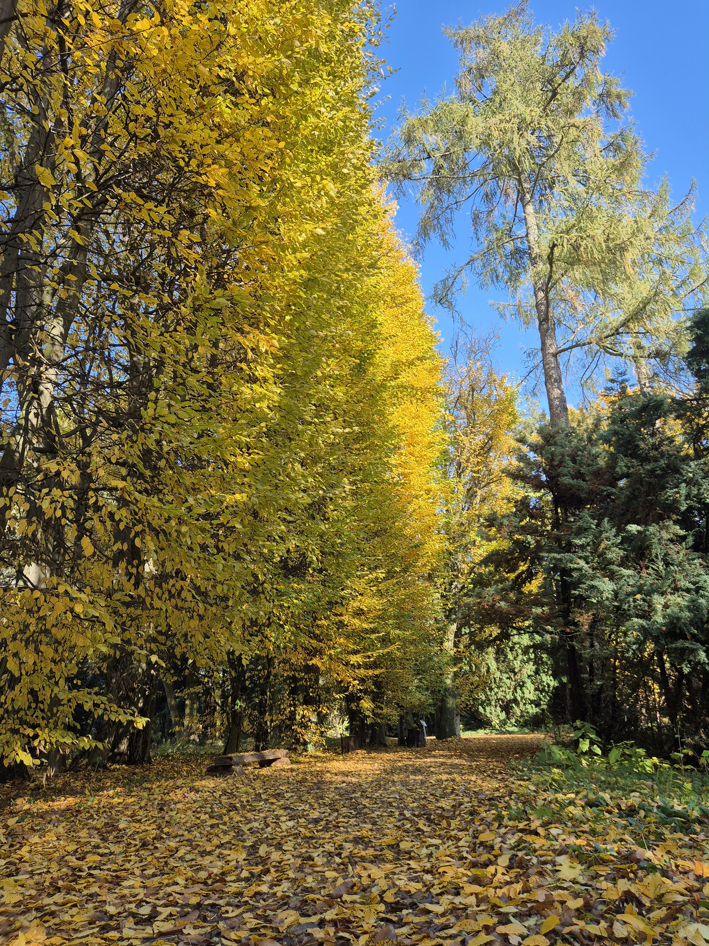 IMG 20261027 WA0013