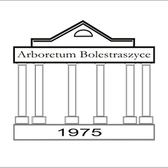 Logo Arboretum przedstawia rycinę dworu od frontonu z sześcioma kolumnami